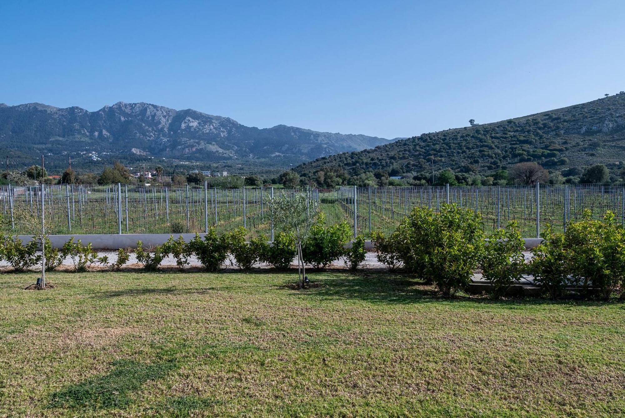 Olive Tree Garden Villa Linopotis Екстериор снимка